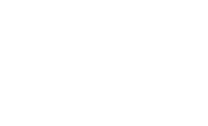 Rigsters