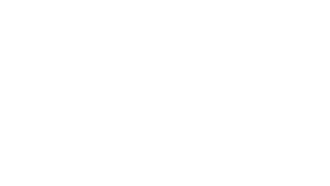 Sony Electronics XYN